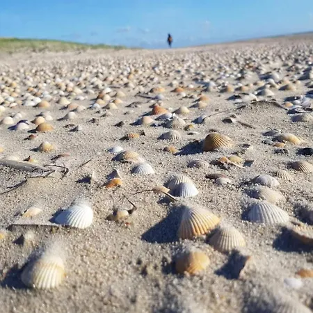 Apartment 6 Person In Romo