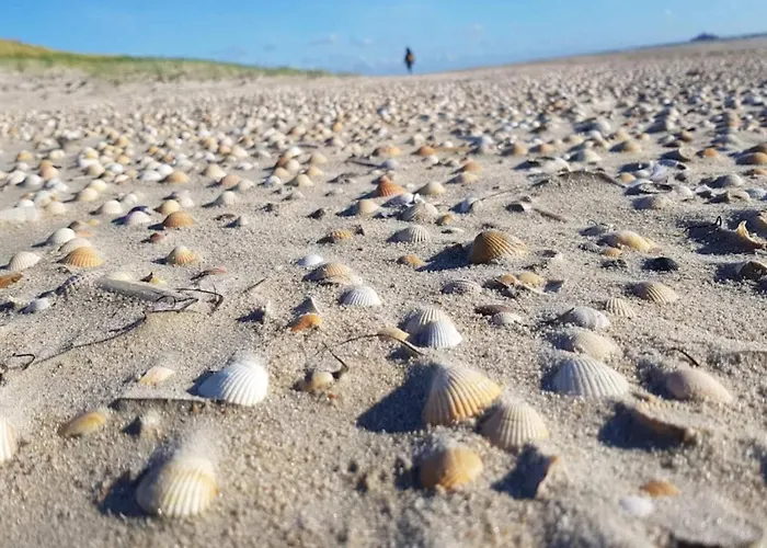 Appartamento 6 Person In Romo